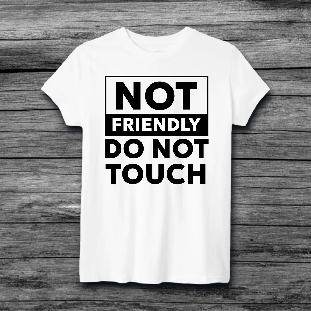 Not Friendly Do Not Touch T-Shirt